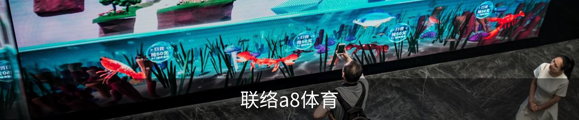 联络a8体育