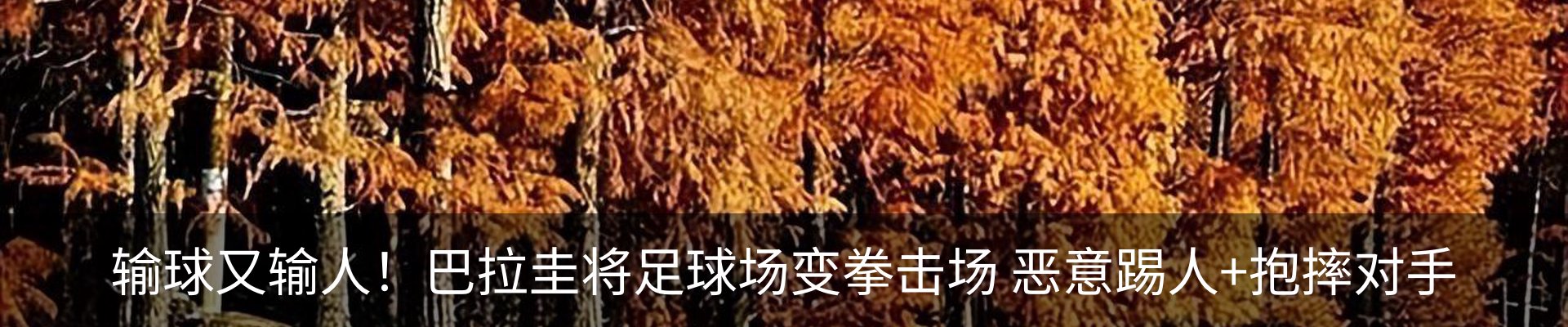 资讯动态