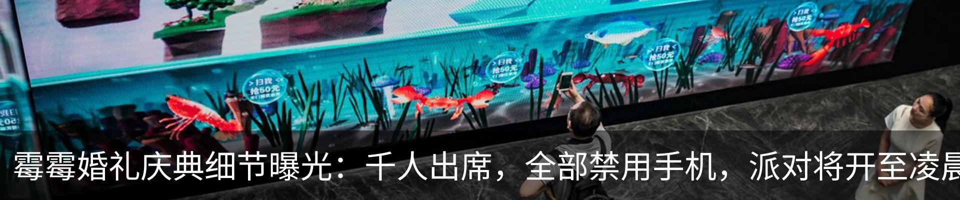 资讯动态